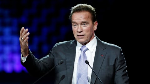 Arnold Schwarzenegger Foto: REUTERS/Benoit Tessier