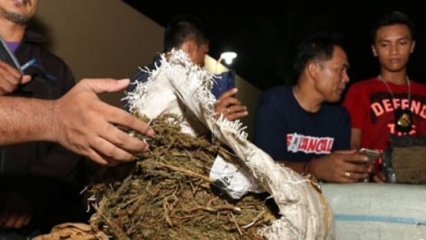 Pengedar Narkoba yang Ditembak di Cipayung Edarkan 1 Kilogram Ganja