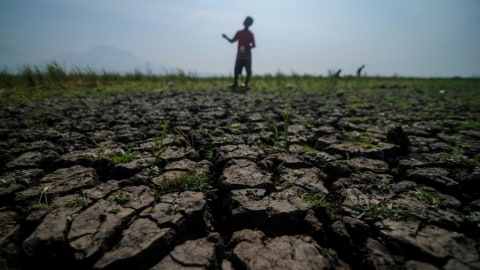 Ilustrasi kekeringan. Foto: Raisan Al Farisi/ANTARA FOTO