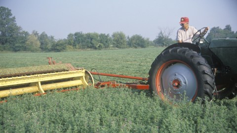 Ilustrasi petani AS. Foto: Shutterstock