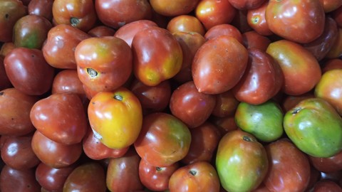 Makanan Super Tomat Ungu Berhasil Diciptakan, Ini Khasiatnya