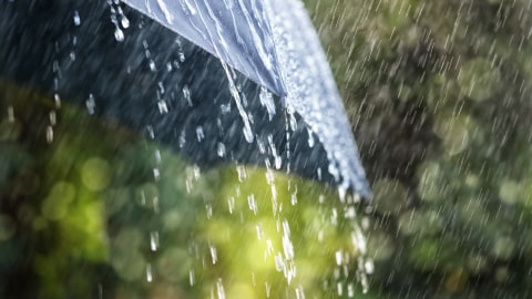 Cuaca Hari Ini: Waspada Hujan Disertai Kilat di Jakarta Pada Malam Hari