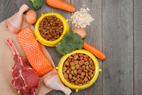 Demi Berhemat di Swiss, Mahasiswa Ini Pilih Makanan Kucing untuk Asupan Protein