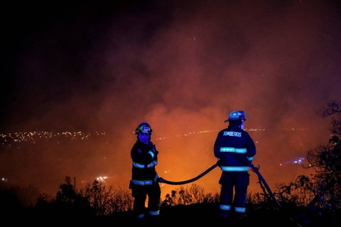 4 Orang Tewas Akibat Kebakaran Hutan di Chile