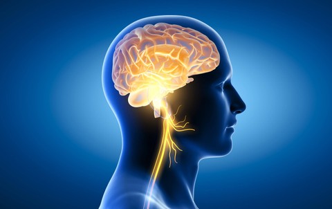 Studi Ungkap Psikopat Punya Ciri Otak Berbeda dengan Manusia pada Umumnya