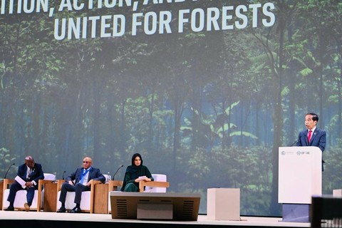 Jokowi Ungkap Langkah Indonesia Capai Net Carbon Sink di Sektor Hutan dan Lahan