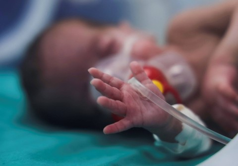 Bayi Usia 6 Minggu di Gaza Meninggal karena Tak Dapat Susu Formula