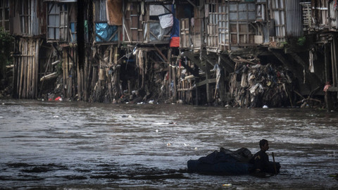 Alarm BRIN: Invasi Sapu-sapu di Sungai Jakarta Makin Sulit Dikendalikan
