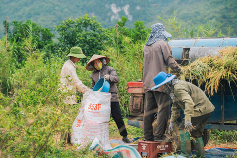 Jenis-Jenis Gotong Royong dalam Masyarakat