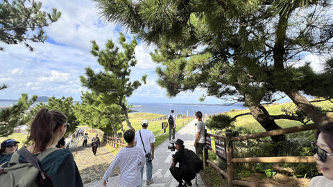 3 WNI Ditangkap Terkait Pemalsuan Dokumen: Ke Jeju Tanpa Visa untuk Masuk Seoul