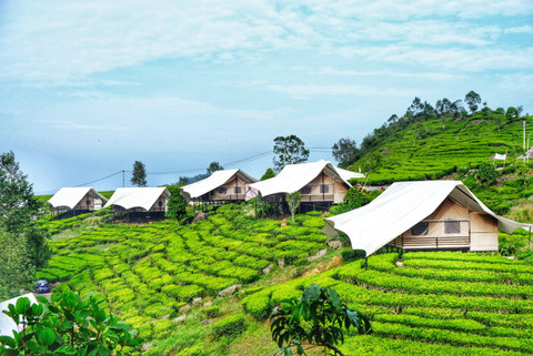 5 Tips Pilih Glamping Biar Liburan Makin Asyik dan Seru