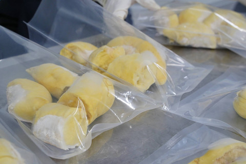 Asosiasi Produsen di Malaysia Dorong Pengakuan Durian sebagai Buah Nasional