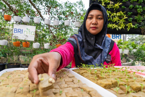 BRI Raih Pengakuan Atas Peran Nyata dalam Urban Farming & Pemberdayaan Perempuan