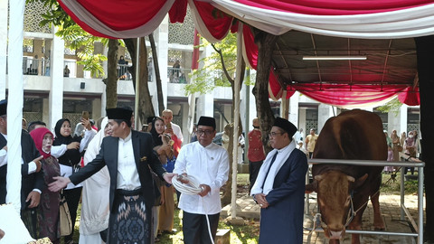 Sapi Kurban Prabowo-Gibran Disembelih di Masjid Istiqlal Besok