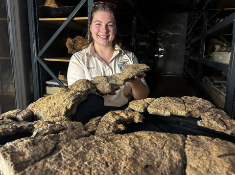 Fosil Pertama Isi Perut Dinosaurus Ditemukan, Ungkap Makanan yang Dikonsumsi
