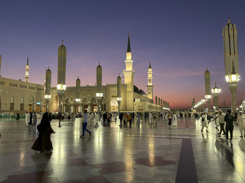 Menyambangi Raudah 'Taman Surga' di Masjid Nabawi