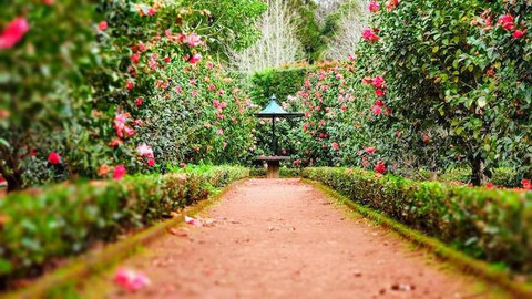 7 Tempat Wisata Gratis di Bogor, Spot Terbaik untuk Bersantai