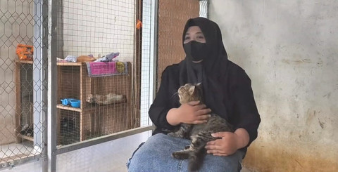 Cerita Cat Lovers di Mempawah Rela Berutang demi Rawat Ratusan Kucing Jalanan
