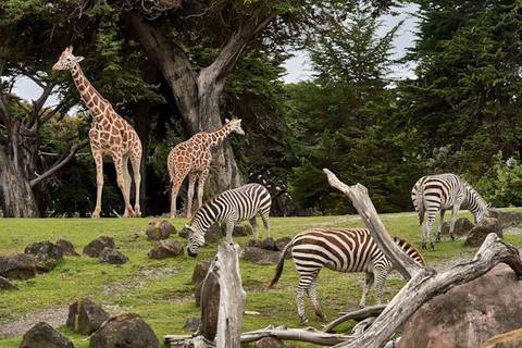 HTM Lembang Park Zoo 2025 Lengkap dengan Daya Tariknya