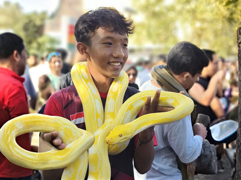 Independent Exotic Pets Ramaikan CFD Pontianak dengan Reptil hingga Kura-kura