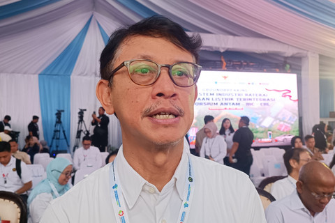 30% Produksi Baterai Listrik Produksi RI-China Bakal Diekspor ke AS-Eropa