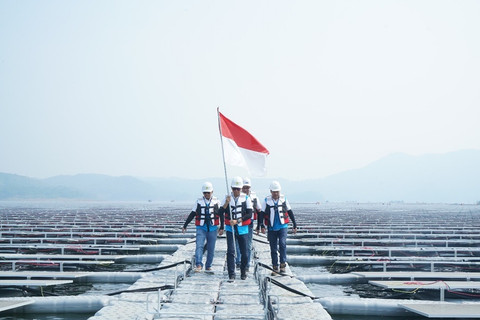 Dukung Pembangunan Berkelanjutan, Green Financing BRI Tumbuh Rp 89,9 Triliun