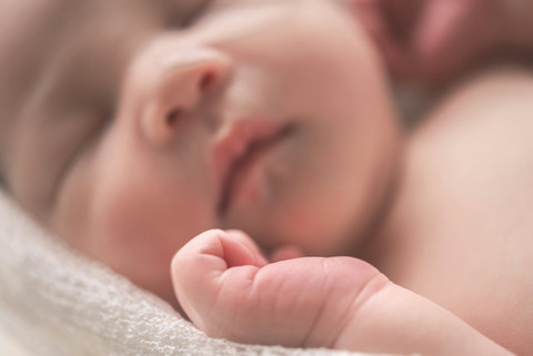 8 Ide Nama Anak dari Nama Latin Tanaman untuk Anak Laki-Laki dan Perempuan