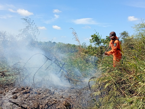 Karhutla Landa 2 Daerah di Sumut, Petugas Berjibaku Padamkan Api