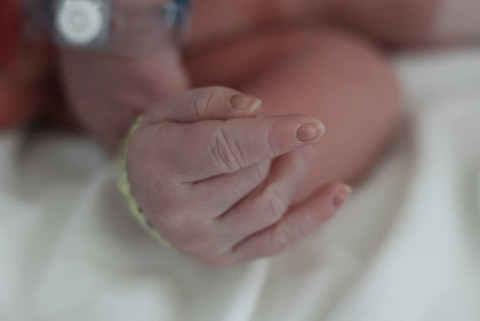 Perdagangan Orang Terungkap, 5 Bayi di Pontianak Siap Dikirim ke Singapura