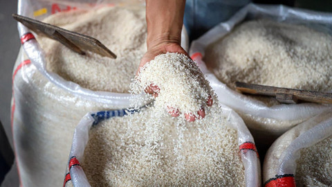 Harga Beras di Manado Masih Mahal, Jenis Superwin Dijual Rp 17 Ribu per Kilogram