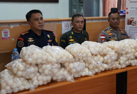 96 Ribu Butir Telur Penyu dari Kepri Diselundupkan, Dijual di Serawak