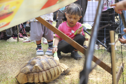 Foto: Asiknya Main di Planet Satwa Bareng kumparanMOM Festival Hari Anak 2025
