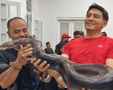 Bupati Indramayu Lucky Hakim Sebar Ribuan Ular ke Sawah buat Berantas Hama Tikus
