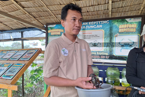 Mantan TKW-ABK Raup Omzet Puluhan Juta dari Kampoeng Kepiting Didukung Pertamina