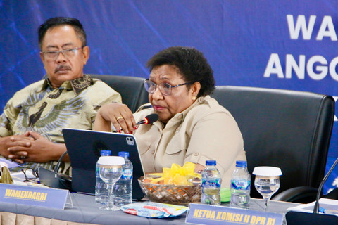 Wamendagri Ribka Tekankan Profesionalisme dan Tata Kelola Sehat Bank Daerah
