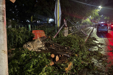 Jakarta Diterjang Hujan Lebat dan Angin Kencang Sore Tadi, 13 Pohon Tumbang