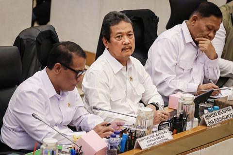 KKP Catat Potensi Serapan Karbon Biru di RI hingga 10 Juta Ton per Tahun