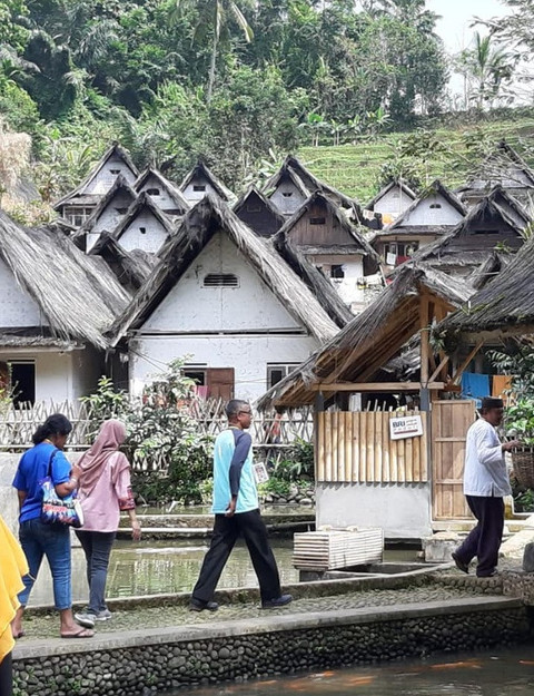 Cuma Modal "Spons" dan Akar, Ini Alasannya Kenapa Hutan Lebih Ampuh Lawan Banjir