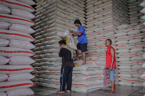 Bapanas Pastikan Stok Pangan Aman, Produksi Beras Diproyeksi Tembus 47 Juta Ton