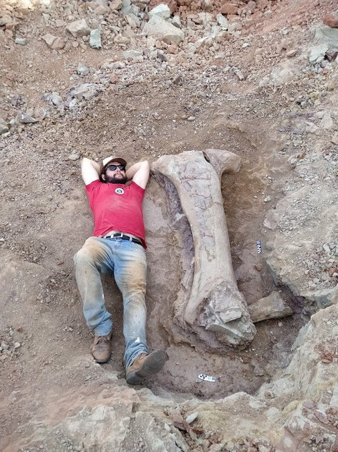 Penemuan Fosil di Brasil Ungkap Spesies Baru Dinosaurus Sepanjang 20 Meter