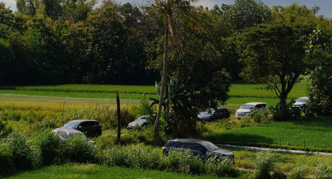 Melihat 'Jalur Sawah' ke Tol Purwomartani Gara-gara Ikut Aplikasi Peta
