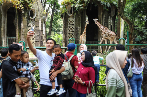Foto: Jelang Berakhirnya Libur Lebaran, Taman Margasatwa Ragunan Makin Ramai