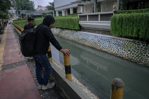 Foto: Gerombolan Ikan Sapu-sapu Menginvasi Sungai di Bundaran HI
