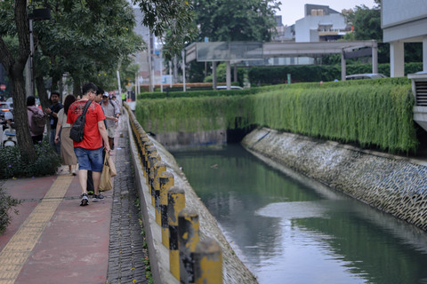 Ikan Sapu-Sapu 'Kuasai' Aliran Sungai di Pusat Kota Jakarta