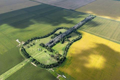 Foto: Kenang Istri Tercinta, Suami di Argentina Bikin Kebun Gitar Raksasa