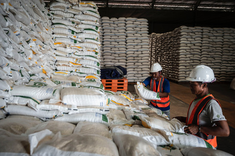 Stok Beras RI Tembus Rekor Tertinggi di 4,72 Juta Ton