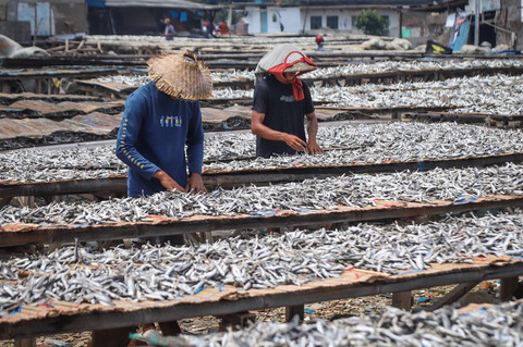 Foto: Pengusaha Ikan Asin Tertekan Imbas Biaya Produksi Naik, Pasokan Menyusut