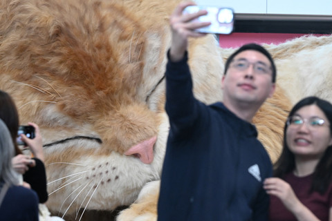 Foto: Kucing Raksasa di Bandara Hong Kong Jadi Daya Tarik Wisata Baru