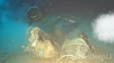 Hiu Langka Muncul saat Bangkai Sapi Dijatuhkan ke Dasar Laut China Selatan