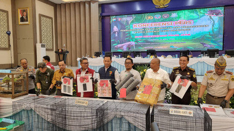 Sindikat Jual Komodo ke Thailand Dibongkar: 6 Orang Ditangkap, Raup Cuan Rp 10 M